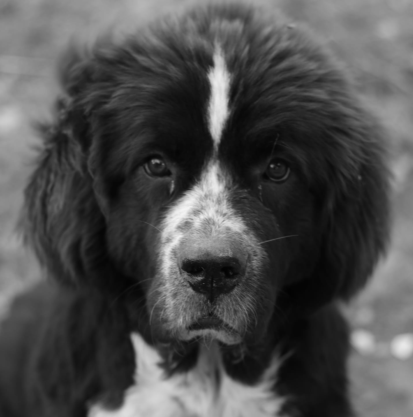 Miss freya Gardien Du Noatùn